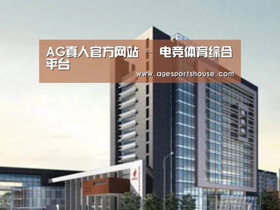AG电子案例展示四