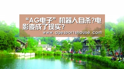AG视讯
