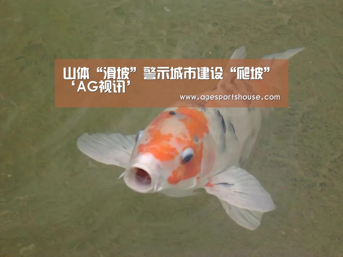 AG视讯