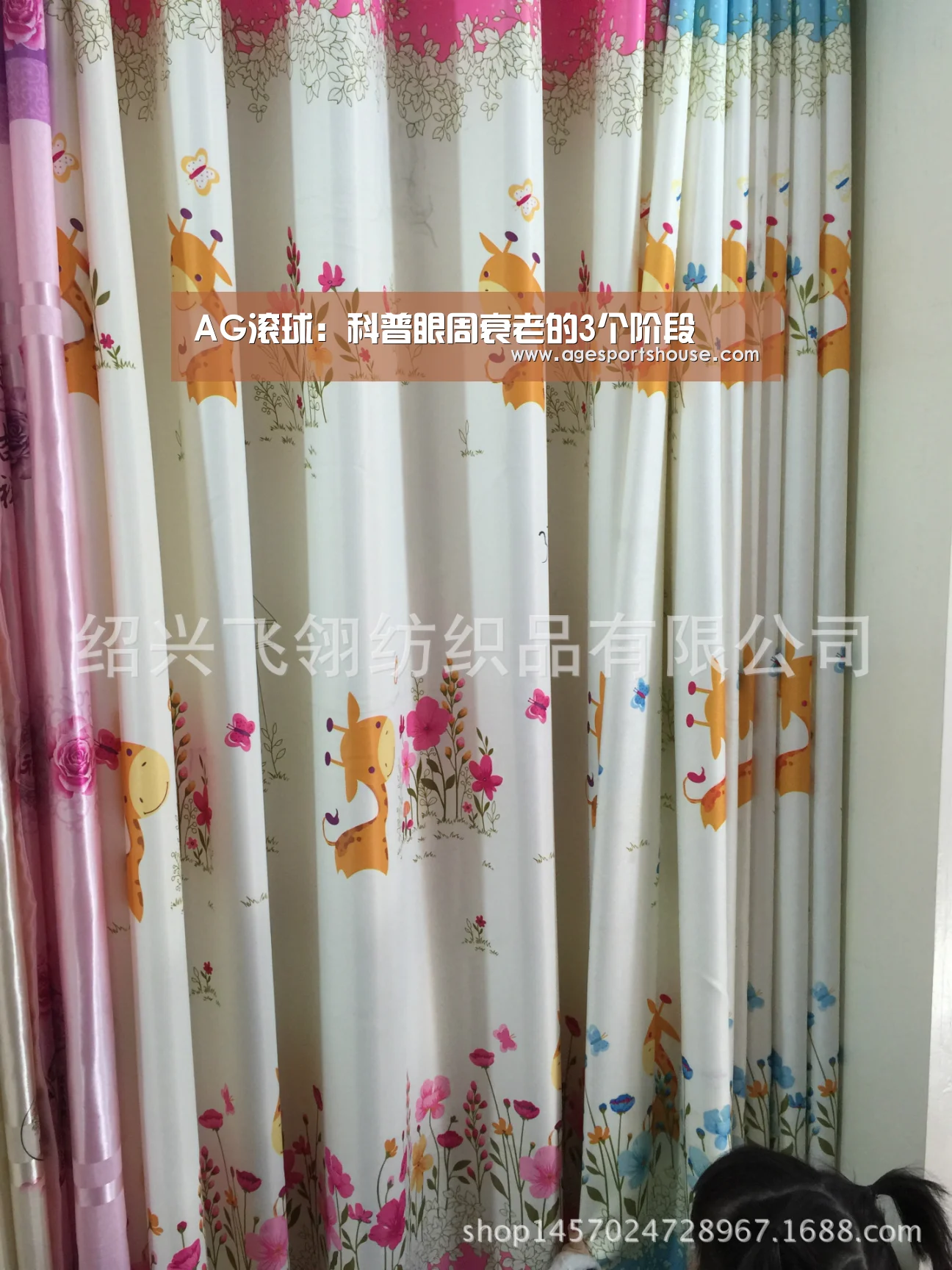AG滚球