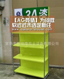 【AG竞猜】为何微软迟迟未选定新任CEO(图2) AG电子