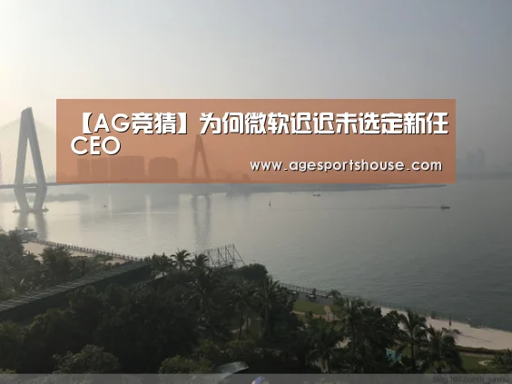 【AG竞猜】为何微软迟迟未选定新任CEO(图3) AG视讯