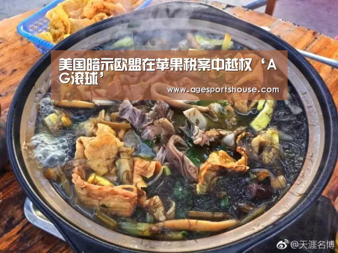 美国暗示欧盟在苹果税案中越权‘AG滚球’(图1) AG滚球