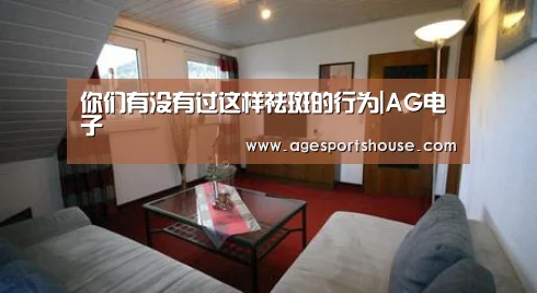 AG视讯