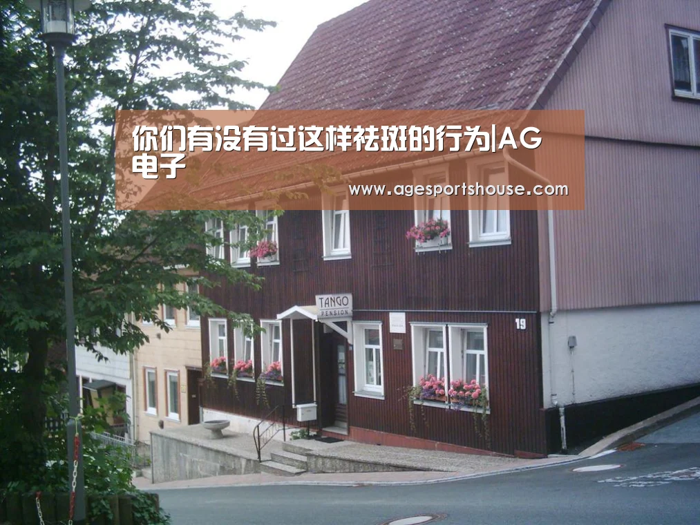 AG视讯