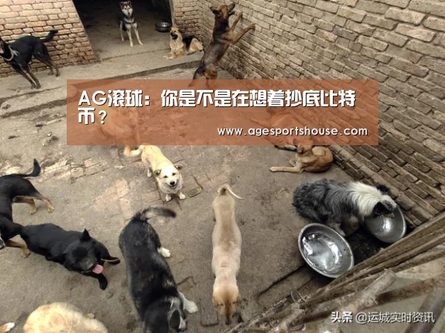 AG滚球:你是不是在想着抄底比特币?(图3) AG电子