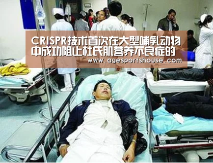CRISPR技术首次在大型哺乳动物中成功阻止杜氏肌营养不良症的进展“AG电子”(图2) AG滚球