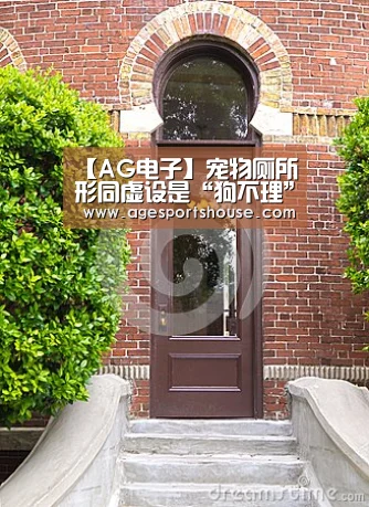 【AG电子】宠物厕所形同虚设是“狗不理”还是“人嫌弃”?(图2) AG视讯