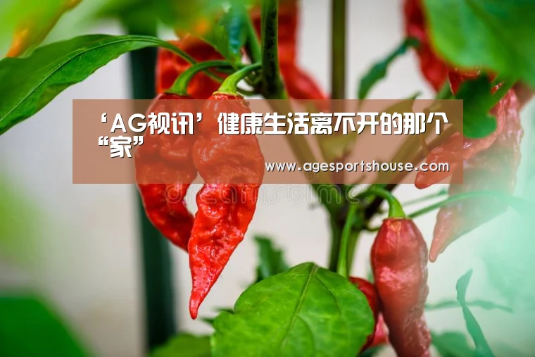 AG竞猜