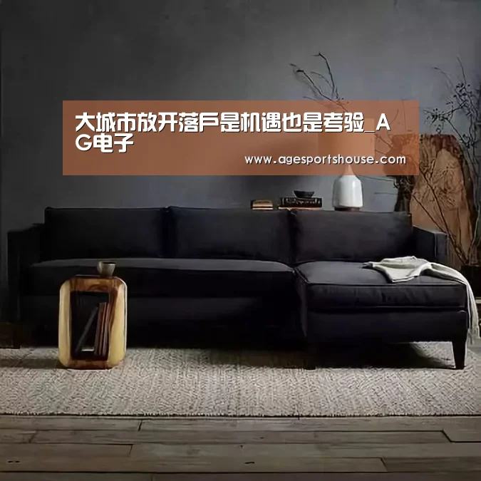 大城市放开落户是机遇也是考验_AG电子(图2) AG视讯