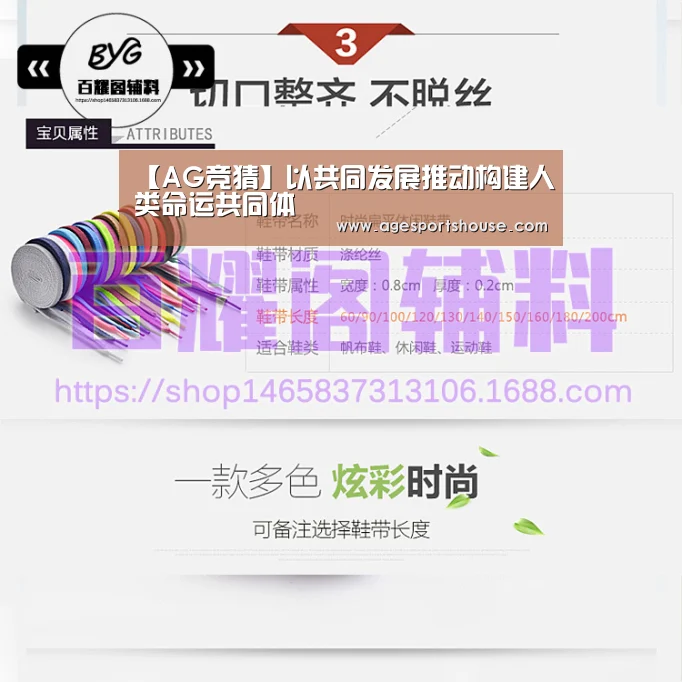 【AG竞猜】以共同发展推动构建人类命运共同体(图1) AG视讯
