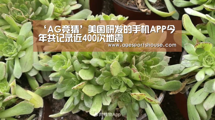 AG电子