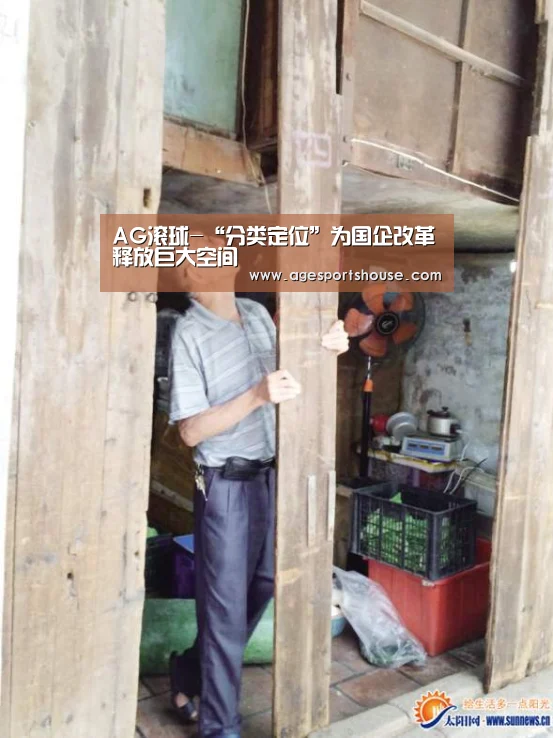 AG滚球-“分类定位”为国企改革释放巨大空间(图3) AG电子
